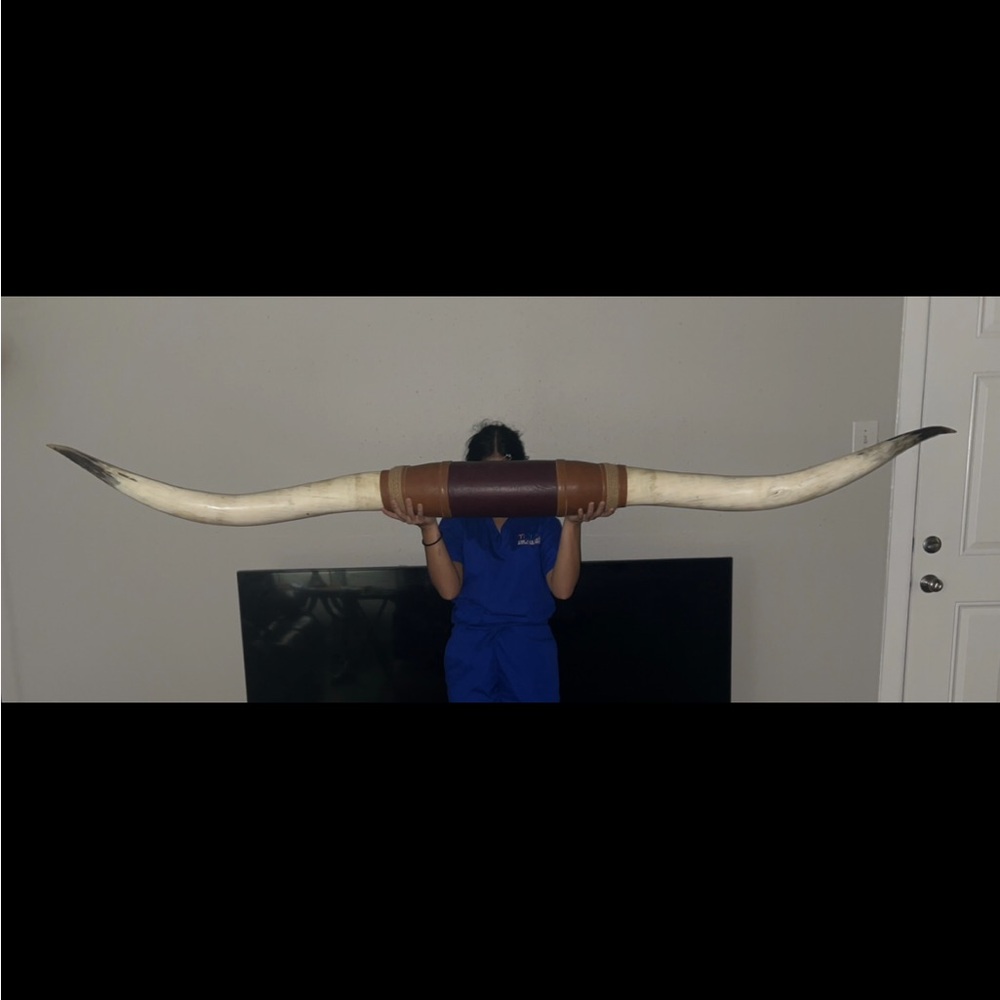 Steer Bull Horns Western Longhorn Wall Hanging Cow
